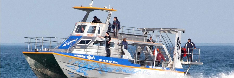 Wilfred Chivell se pragtige boot, Dream Catcher, met haar eerste binnekoms van Kleinbaai hawe